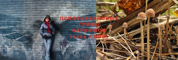 марки lsd Киренск