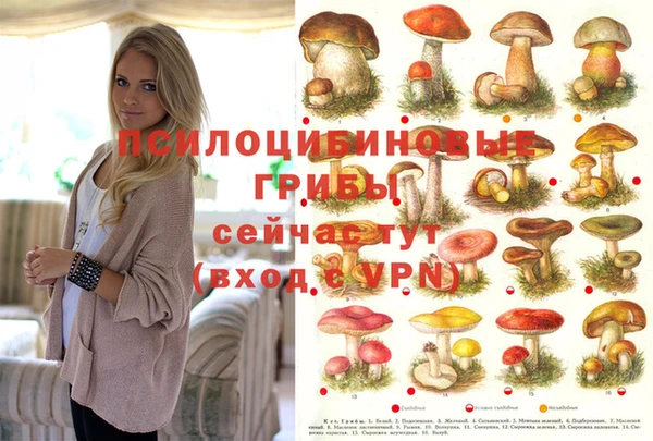 марки lsd Киренск