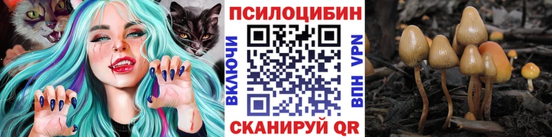 Галлюциногенные грибы Psilocybine cubensis  Купить где  Меленки 